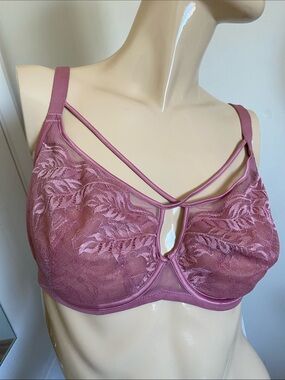 34G understance Sheer Lace Strappy Bra in Dusty Rose